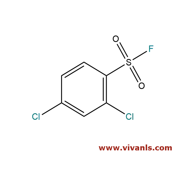Building Blocks-2,4-Dichlorobenzenesulfonyl fluoride-1655709443.png